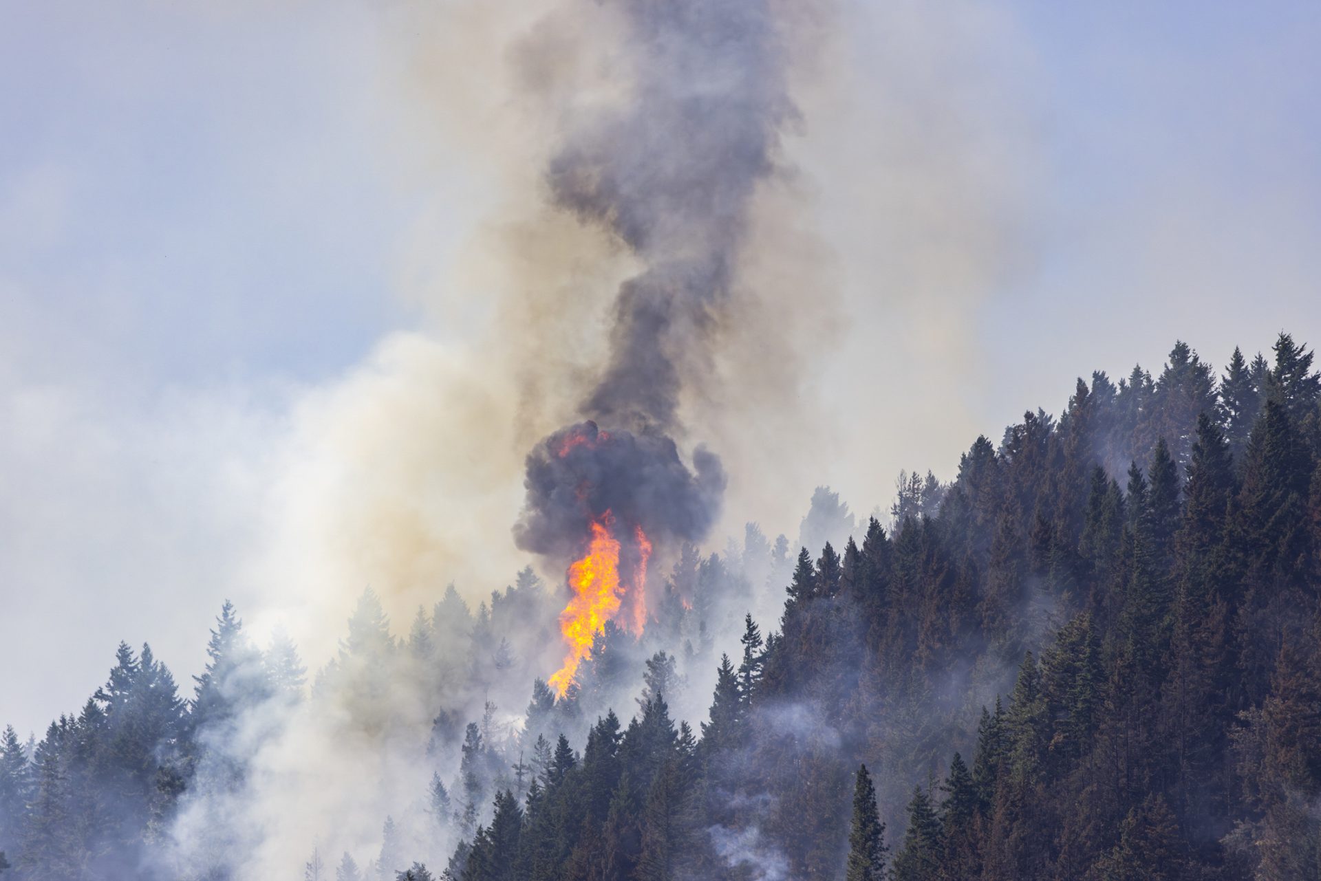 California Wildfires and the Economic Impact on Food Supply