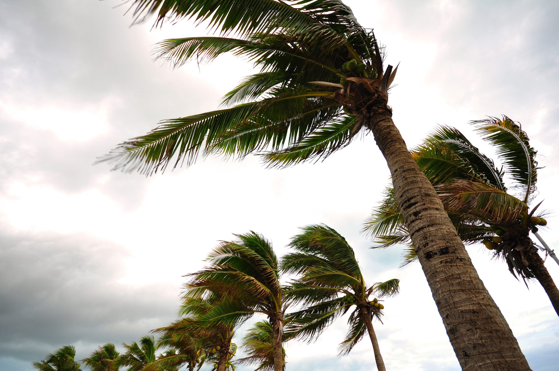 Navigating the Economic Impacts of Hurricane Season 2024