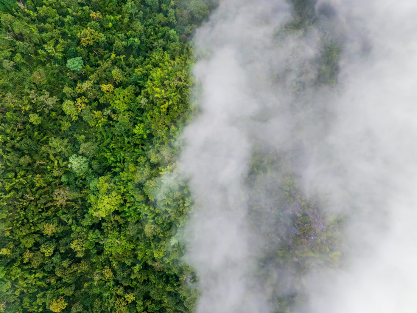 Enhanced Emissions Modeling in IMPLAN