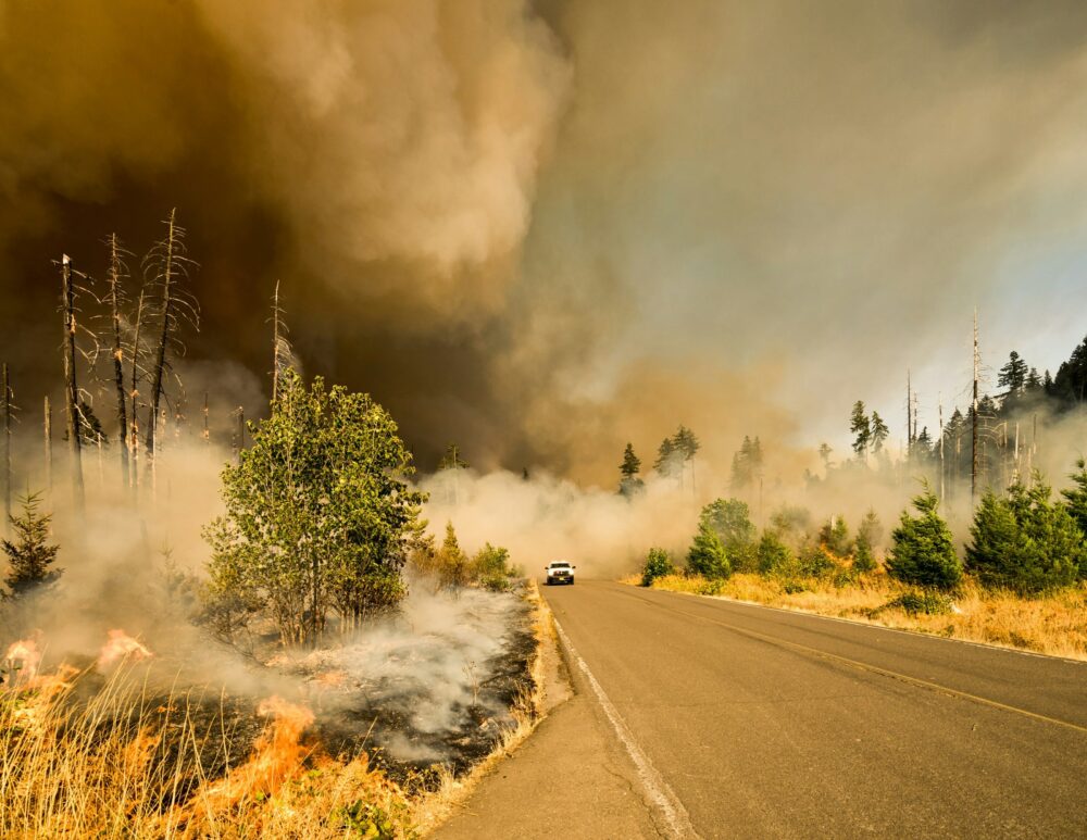 Natural Disasters