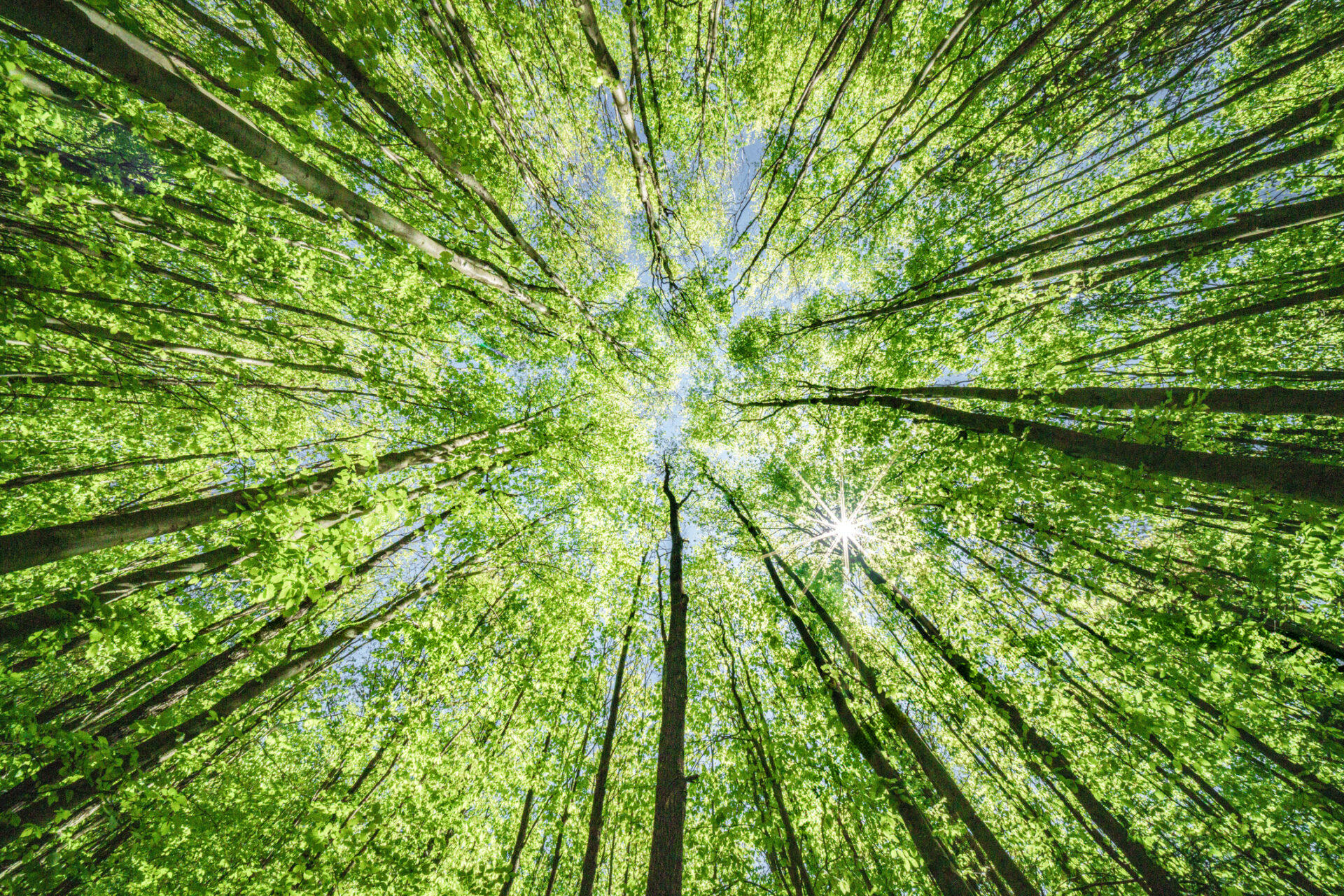Introducing IMPLAN’s Scope 1, 2, and 3 Economic Modeling: Measuring Emissions