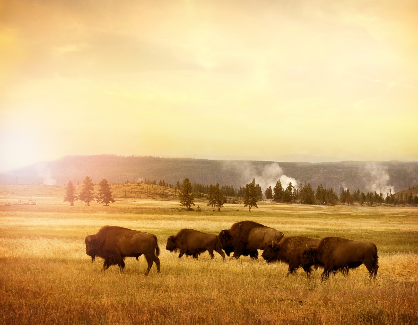 National Park Service: Contribution to National GDP