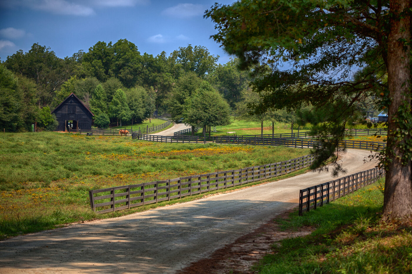University of Georgia: Measuring a $76B Agricultural Economy