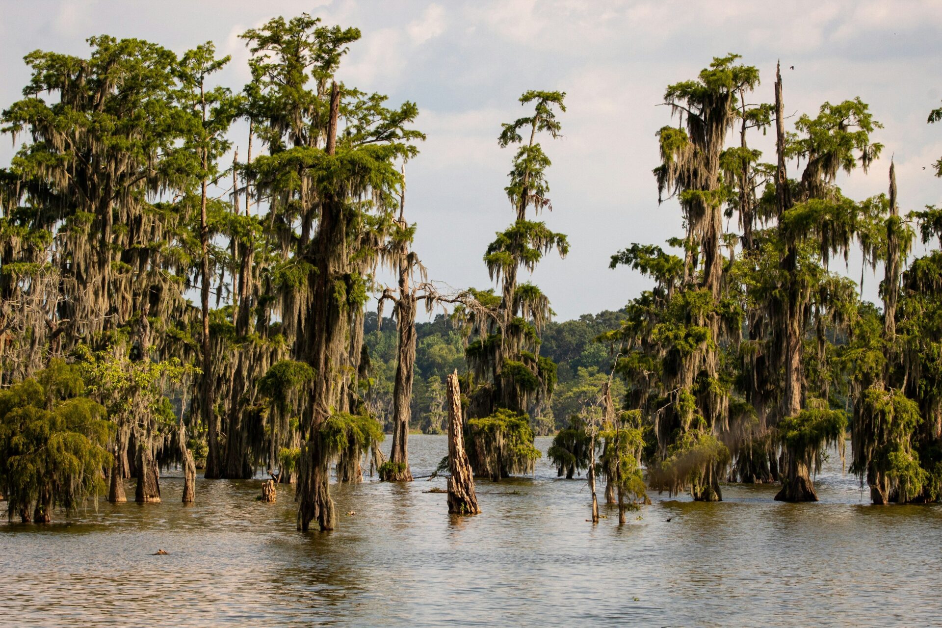 Coastal Conservation: Resiliency & Economic Impact
